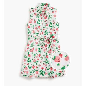 Crewcuts Girls Strawberry Tie Waist Cotton Lined Shirt Dress Sz 7